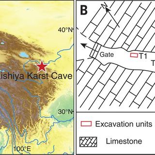 Denisovan DNA in Late Pleistocene sediments from Baishiya Karst Cave on the Tibetan Plateau