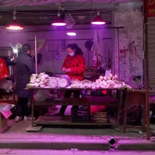 China’s wet markets back in business, despite US calls to keep them shut