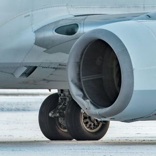 Jetliner hits bear on runway in Southeast Alaska