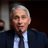 Fauci distances himself from Trump adviser Atlas: ‘I totally disagree with the stand he takes’