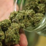 Madison council approves measures to decriminalize marijuana