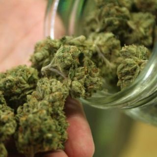 Madison council approves measures to decriminalize marijuana