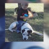 UPDATE: Faulkner County Sheriff makes statement regarding dog shooting incident