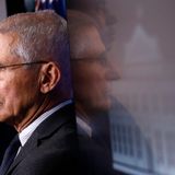 Anthony Fauci Isn’t Optimistic About Reopening Economy Soon