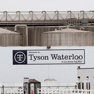 Tyson Managers Suspended After Allegedly Betting If Workers Would Contract COVID