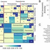 Viral zoonotic risk is homogenous among taxonomic orders of mammalian and avian reservoir hosts