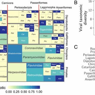 Viral zoonotic risk is homogenous among taxonomic orders of mammalian and avian reservoir hosts