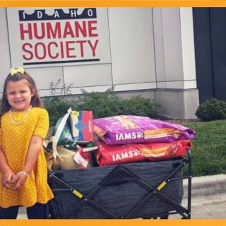 7's HERO: Caldwell 5-year-old sells paintings to raise money for the Idaho Humane Society