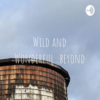 The ten most Interesting towns in the state of West Virginia with Matt Durgin - Wild and Wonderful...beyond