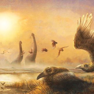 Dino-era bird had the head of a Velociraptor and beak of a toucan
