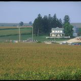 MLB Reschedules Iowa Field of Dreams Game