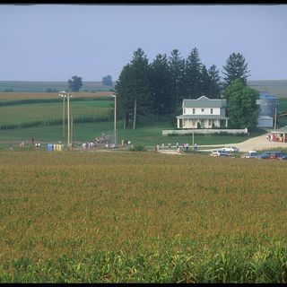 MLB Reschedules Iowa Field of Dreams Game