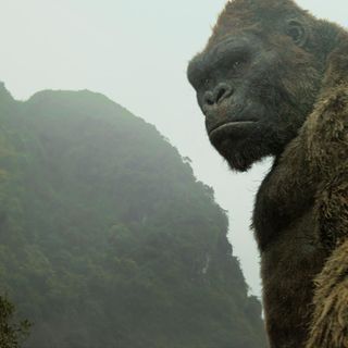 WarnerMedia Turned Down $200 Million Netflix Offer for 'Godzilla vs. Kong,' Eyes HBO Max — Report