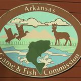 Out-of-state hunters flood Arkansas for Opening Day during pandemic