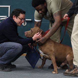 Chicago alderman who got contributions from pet store owner flips on anti-puppy mill law