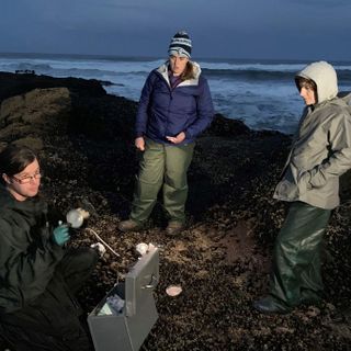 Science, interrupted: Oregon research threatened in a pandemic world