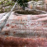 Archaeologists Just Discovered Tens of Thousands of Ultra-Realistic Ancient Rock Paintings in the Colombian Amazon