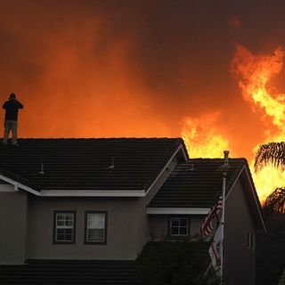 UN calls on humanity to end 'war on nature,' go carbon-free