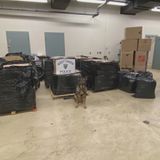 West Haven PD seize 1,700 lbs. of marijuana worth $15 million, 2 suspects arrested