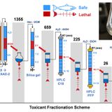 A ubiquitous tire rubber–derived chemical induces acute mortality in coho salmon