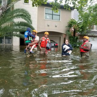 New Bill Would Require Texas Landlords To Inform Renters If A Home Has Flooded | Houston Public Media