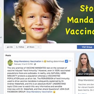 Anti-Vaccine Facebook Page Uses Advertisements To Build Large Audience