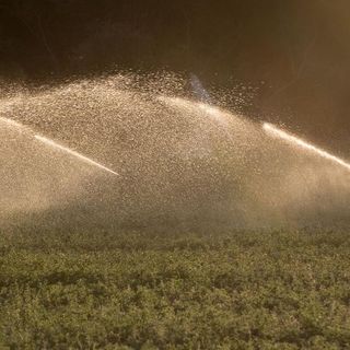 Investors can now trade water futures