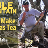 Edible Mountain - How To Make Sassafras Tea