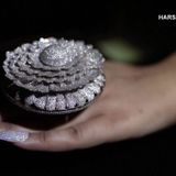 Indian jewelers set Guinness World Record for most diamonds on ring