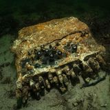 Divers Discover Nazi Enigma Machine Thrown Into the Baltic Sea During WWII