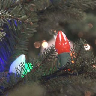 Habitat for Humanity collecting used holiday lights