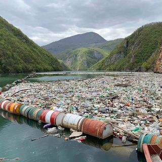 Microplastics left in water are more easily absorbed by mouse cells