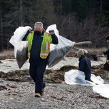 Trash being shipped to an Orrington incinerator from Ireland washes up on shores of Sears Island