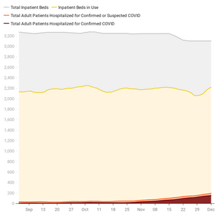 Explore the Data: How Are N.H. Hospitals Weathering This COVID-19 Wave?