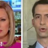 Tom Cotton: Hunter Biden taxes ‘least damaging’ part of probe, circumstances ripe for special counsel