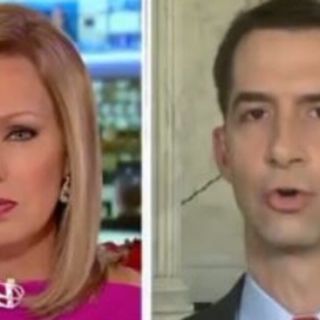 Tom Cotton: Hunter Biden taxes ‘least damaging’ part of probe, circumstances ripe for special counsel