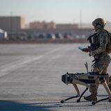 Military robots perform worse when humans won't stop interrupting them