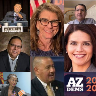 Presidential electors: Arizona's 11 Democrats have diverse backgrounds