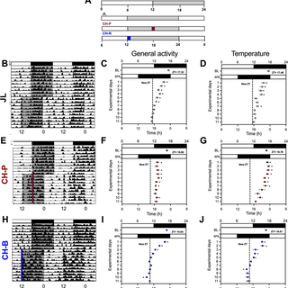 Chocolate for breakfast prevents circadian desynchrony in experimental models of jet-lag and shift-work - Scientific Reports