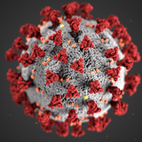 Coronavirus in Minnesota: December on pace to be deadliest month of pandemic | MinnPost