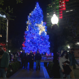 Most wonderful time of the year: A guide to Christmas lights around San Antonio