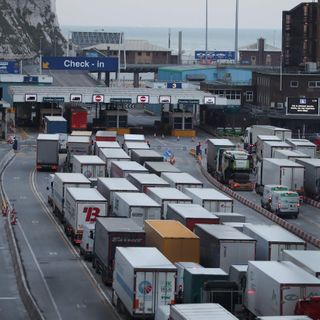 UK should brace itself for months of food shortages from 1 January, delivery experts say