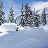 The Backcountry Boom