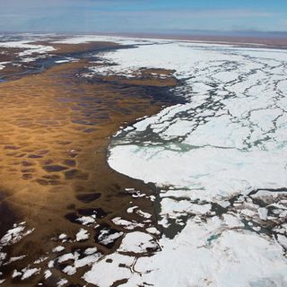 Trump administration to auction oil drilling rights in all federal lands of ANWR coastal plain - Alaska Public Media