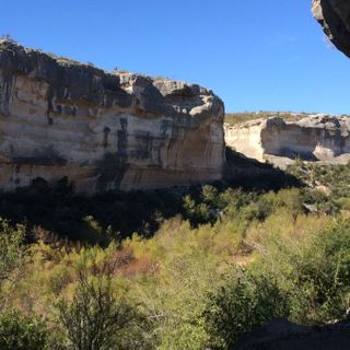 Man who died of constipation 1,000 years ago ate grasshoppers for months