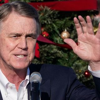 David Perdue Edits Out His Asia Experience From Campaign Ad