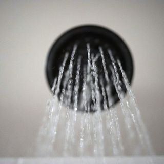 Rules eased for water from showerheads, a Trump pet peeve