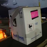 Delta Air Lines transports its first coronavirus vaccine shipments