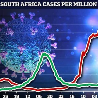 Why is South Africa's new variant so scary? UK bans travel to SA