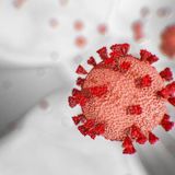 New coronavirus cases reported across Nebraska, including Lincoln